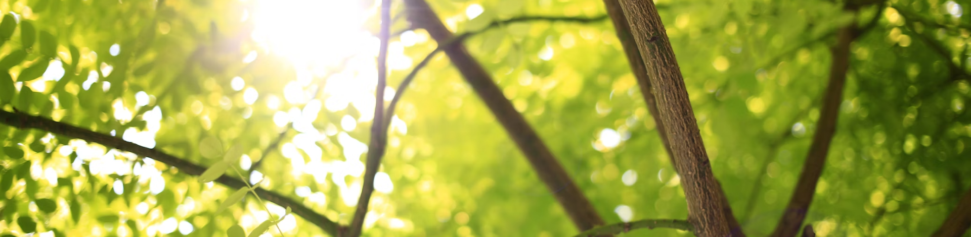 company_info_background_image