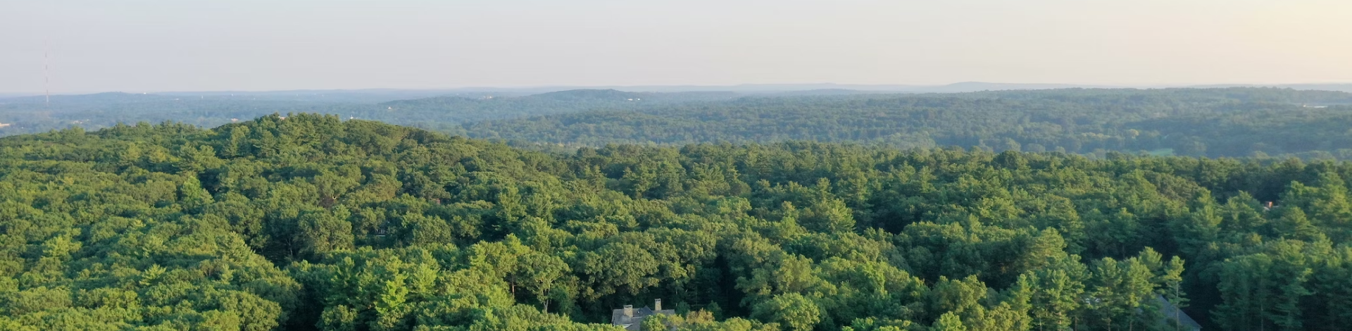 social_impact_background_image